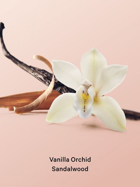 Спрей для тіла Vanilla Orchid Sandalwood Hair & Body Mist Victoria's Secret 26970164 фото