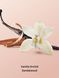 Спрей для тіла Vanilla Orchid Sandalwood Hair & Body Mist Victoria's Secret 26970164 фото 2