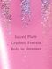 Парфумований лосьйон для тіла Pure Seduction Shimmer Body Lotion Victoria's Secret 26965605 фото 2