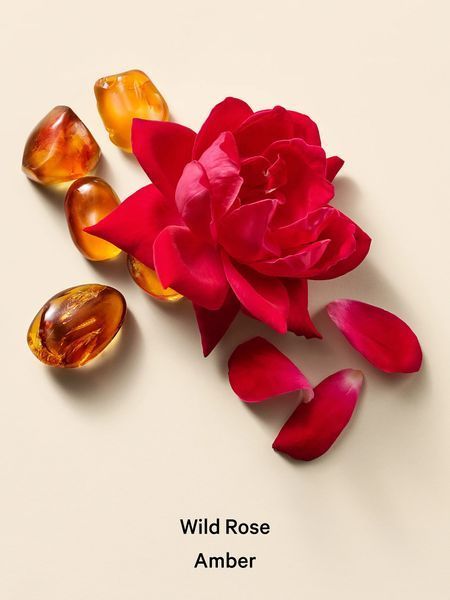 Гель для душу Wild Rose Amber Cream Body Wash Victoria's Secret 27108912 фото