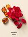 Гель для душу Wild Rose Amber Cream Body Wash Victoria's Secret 27108912 фото 2