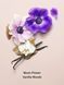 Парфумований лосьйон для тіла Midnight Bloom Shimmer Body Lotion Victoria's Secret 27081502 фото 2